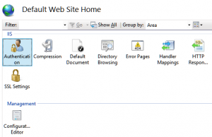 IIS Website Configuration